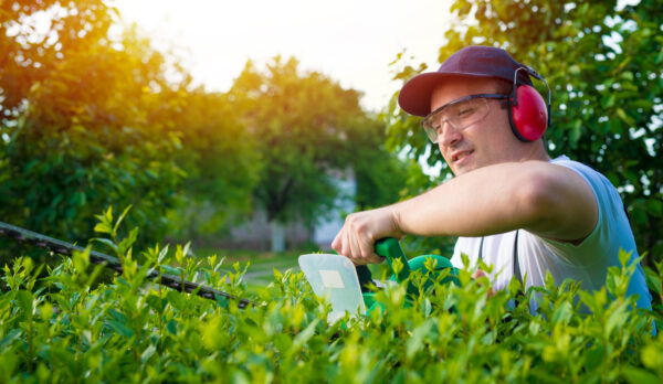 professional-gardener-trimming-hedge-yard