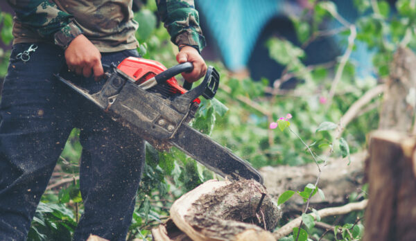 asian-man-cutting-trees-using-electrical-chainsaw