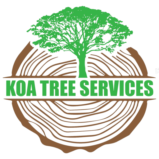 Koa Tree Servcies